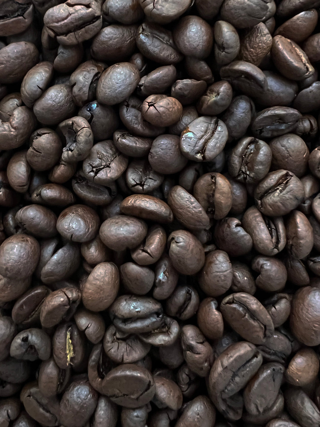 papua new guinea dark roast