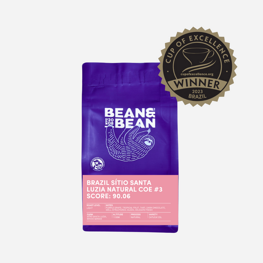 90+ Cup of Excellence Box: Mexico, Honduras, Brazil