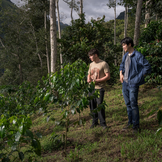 Ecuador La Soledad Pepe Jijon Wave Cold Ferment Typica Mejorado