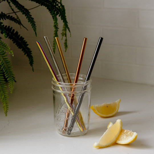 Stainless Steel Straw - Straight, Bent, or Boba Style